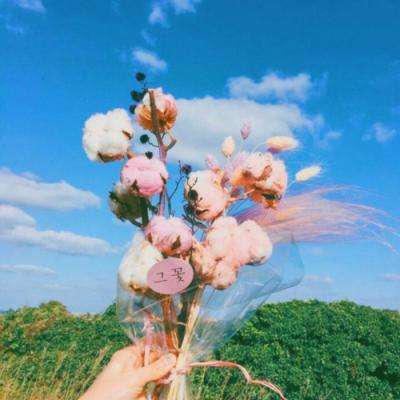 爱游戏平台官方网站